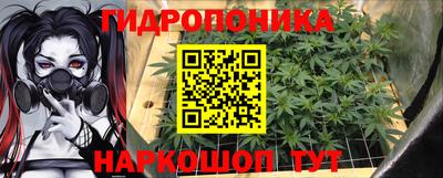 прущие грибы Кумертау