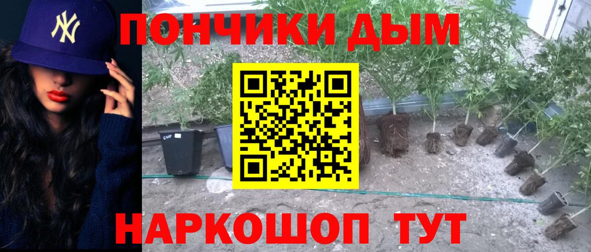 Шишки марихуана LSD WEED Тулун